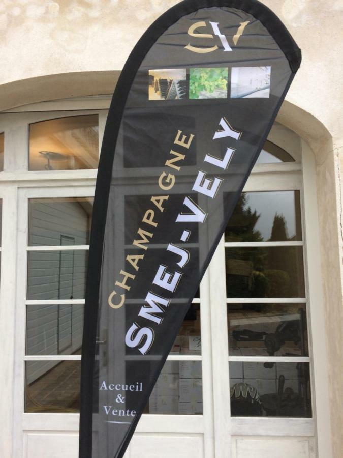 Chambres D'Hotes Karine Smej Châtillon-sur-Marne エクステリア 写真