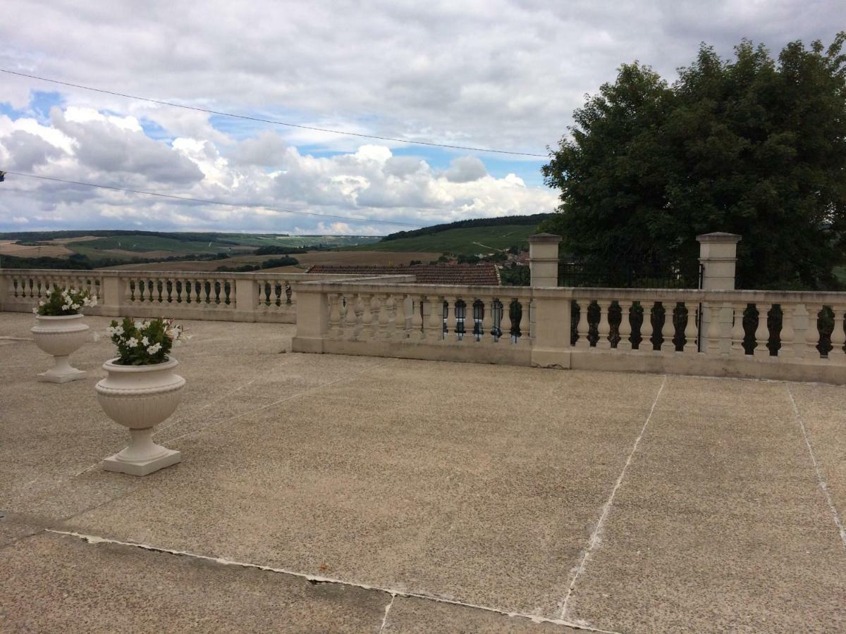 Chambres D'Hotes Karine Smej Châtillon-sur-Marne エクステリア 写真