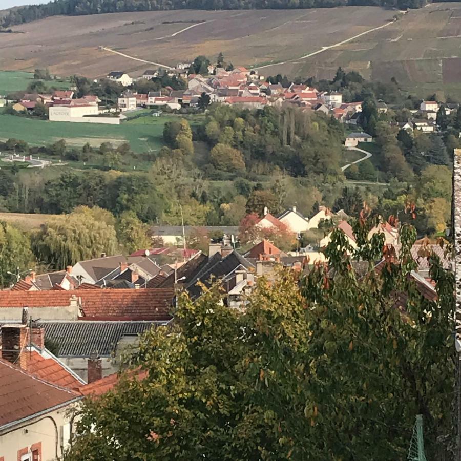 Chambres D'Hotes Karine Smej Châtillon-sur-Marne エクステリア 写真